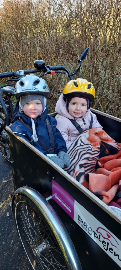 Pias private pasningsordning Dybvad