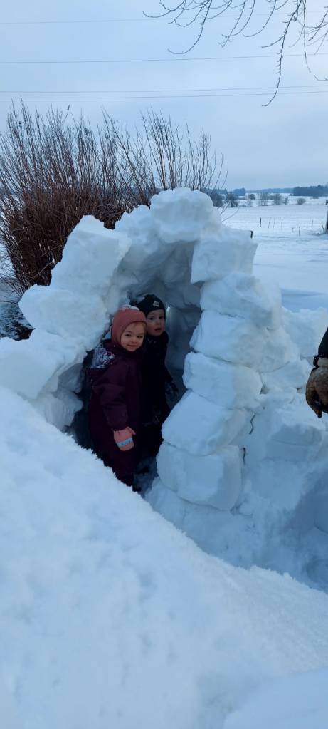 Pias private pasningsordning Dybvad