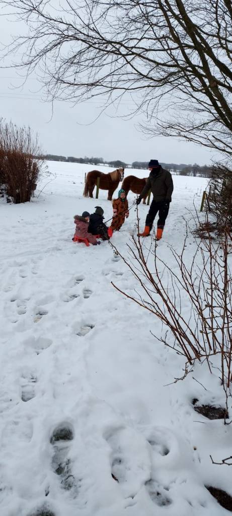 Pias private pasningsordning Dybvad