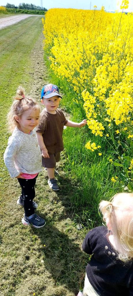 Pias private pasningsordning Dybvad