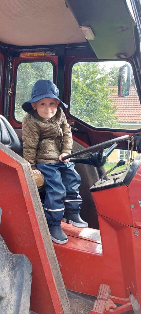 Pias private pasningsordning Dybvad